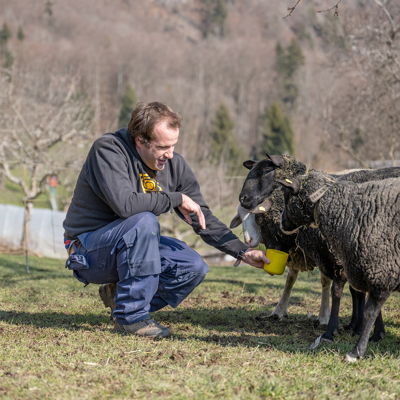 WG Alpenhof – wir leben mit viel Respekt auf einem kleinen Bauernhof